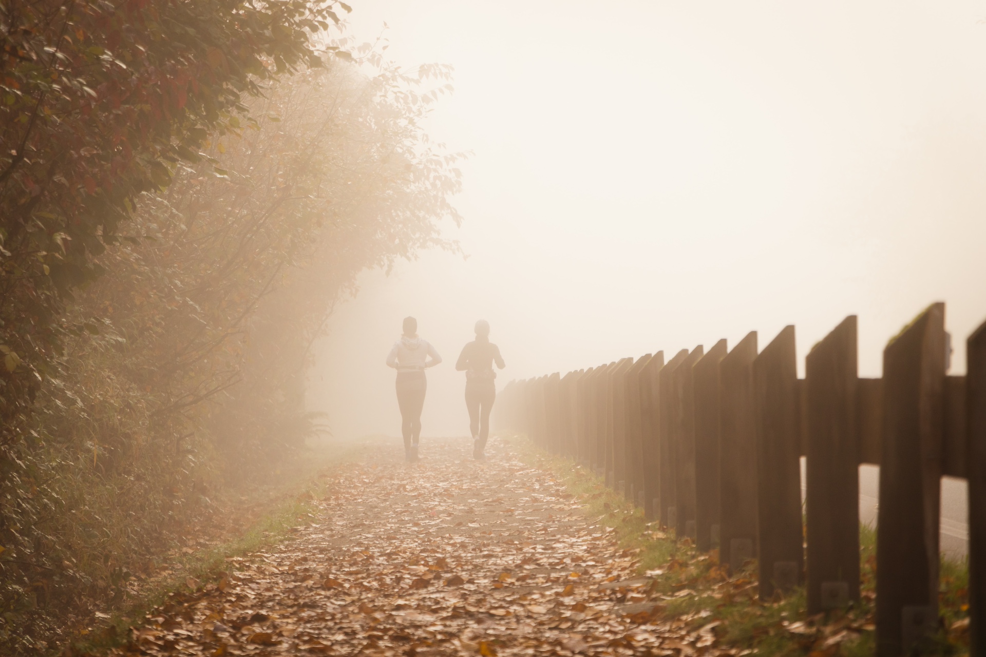 4 Life Path | What You Resist Will Persist?