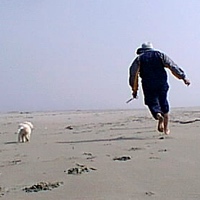 Image for numerology 'Certainty in a Wildly Changing Universe' article
